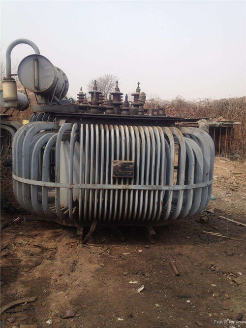 湖南省手表過期食品銷毀公司聯系人