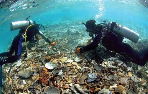 漁民發(fā)現(xiàn)一沉船,50億寶藏只打撈到5000萬,剩下的在哪兒