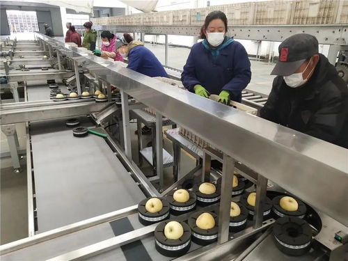 復(fù)工復(fù)產(chǎn),擼起袖子干